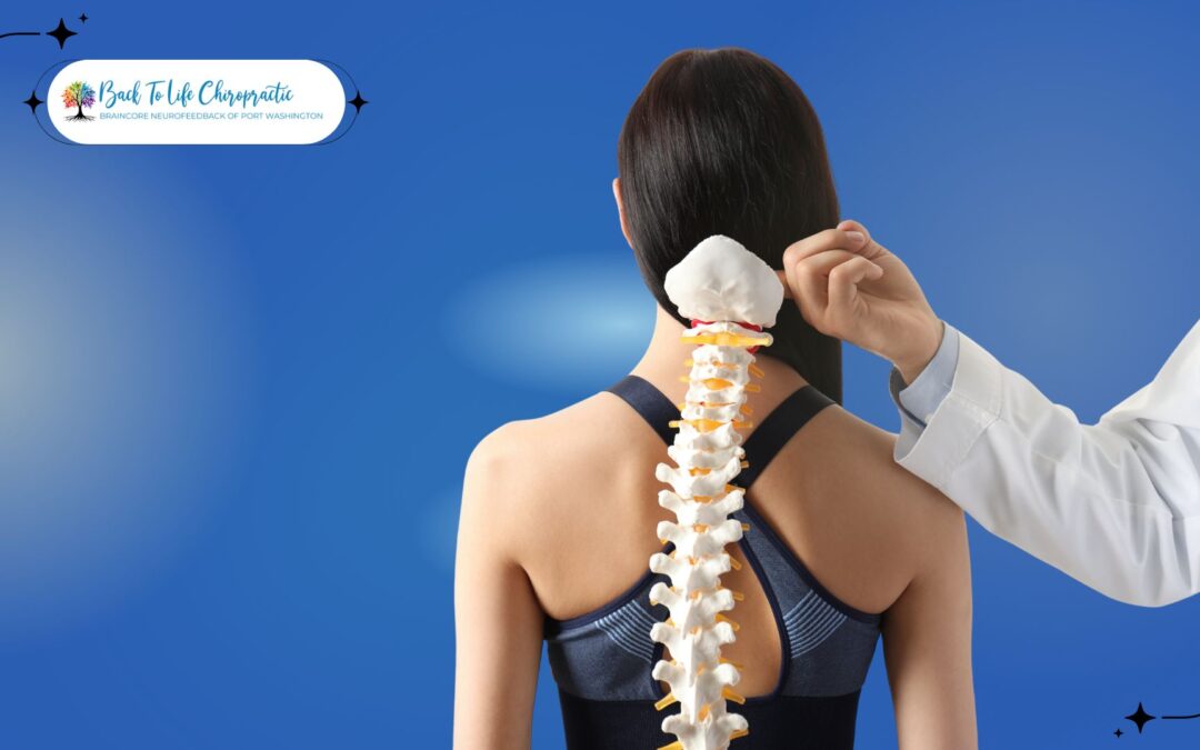 Illustration of the human spine with labeled vertebrae, nerves, and alignment indicators.